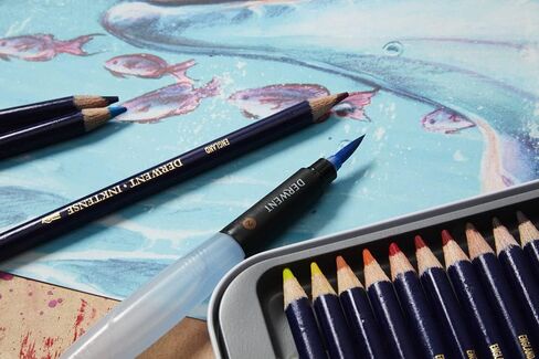 Derwent Inktense Pencils Blister, Set of 6, Premium 4mm Round Core, Firm Texture, Watersoluble, Ideal for Watercolor, Drawing, Coloring and Painting on Paper and Fabric, Professional Quality (0700927) in Saudi Arabia