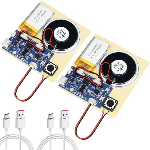 2PCS Sound Recorder Module DIY Music Voice Recording Module Chip with Speaker,Type-C Cable,Easy Recording Capability16 Minutes Music for Personalized Greetings, Holiday Crafts Cards with Manual in Saudi Arabia