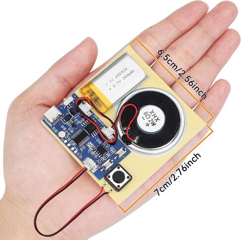 2PCS Sound Recorder Module DIY Music Voice Recording Module Chip with Speaker,Type-C Cable,Easy Recording Capability16 Minutes Music for Personalized Greetings, Holiday Crafts Cards with Manual in Saudi Arabia