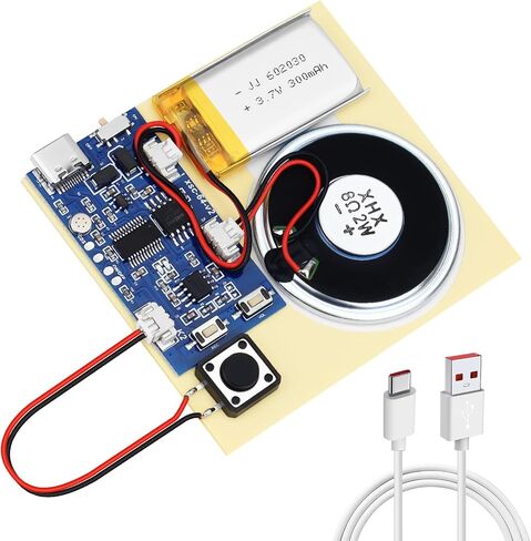 2PCS Sound Recorder Module DIY Music Voice Recording Module Chip with Speaker,Type-C Cable,Easy Recording Capability16 Minutes Music for Personalized Greetings, Holiday Crafts Cards with Manual in Saudi Arabia