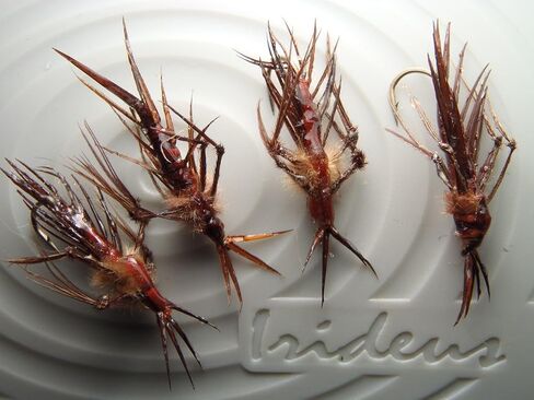 4 هورنر طويل الساقين Hellgrammite Dobsonfly يرقة حورية سمك السلمون المرقط يطير ذبابة صيد السمك Steelhead Nymph in Saudi Arabia