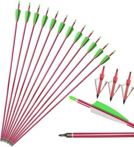 SHARROW 6/12pcs الرماية 30 بوصة السهام الألومنيوم الصيد السهام الهدف ممارسة الرماية السهام العمود الفقري 500 مع نصائح السهم القابلة للإزالة لمركب القوس قوس منحني in Kuwait