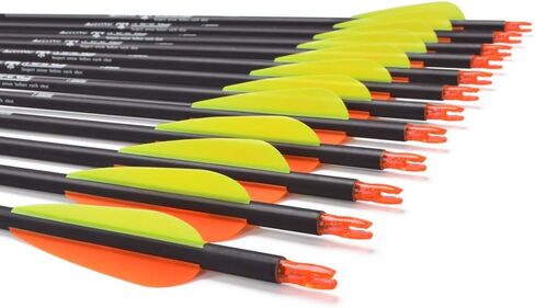 Carbon Arrow Hunting Arrows with 100 Grain Tip and Removable Tips for Archery Compound & Recurve & Traditional Bow Practice Shooting Targeting in Saudi Arabia