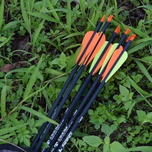 Carbon Arrow Hunting Arrows with 100 Grain Tip and Removable Tips for Archery Compound & Recurve & Traditional Bow Practice Shooting Targeting in Saudi Arabia