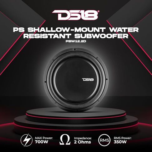 DS18 SB12 Single 12" Loaded Shallow Subwoofer Enclosure 700 Watts Max Power 350 Watts RMS @ 2-ohm Sealed Box - Fits into Any Vehicle - Great for Tight Space in Saudi Arabia