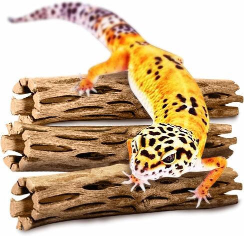 خشب SunGrow Leopard Gecko Cholla Wood، بطول 12.7 سم، يخلق مكانًا للتشمس، ديكور منزلي فني، السحالي والتنين الملتحي، 3 عبوات in Kuwait