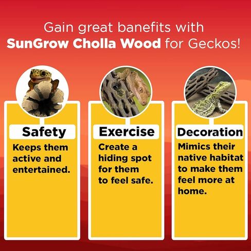 خشب SunGrow Leopard Gecko Cholla Wood، بطول 12.7 سم، يخلق مكانًا للتشمس، ديكور منزلي فني، السحالي والتنين الملتحي، 3 عبوات in Kuwait