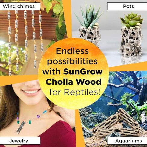 خشب SunGrow Leopard Gecko Cholla Wood، بطول 12.7 سم، يخلق مكانًا للتشمس، ديكور منزلي فني، السحالي والتنين الملتحي، 3 عبوات in Kuwait