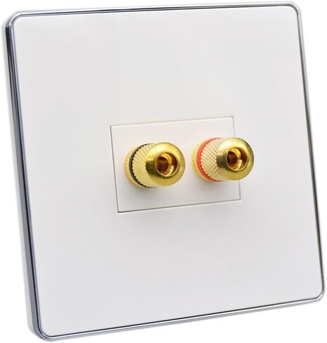 Hi-Fi Audio Terminal Wall Plate Sound System Banana Female Connector Socket Speaker Binding Post Panel Cover in Saudi Arabia