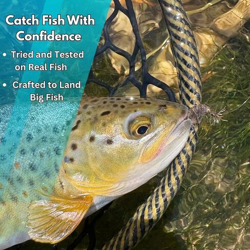 Bead Head Scud Wet Fly Nymph, Size 12-16, Wet Flies for Trout Bass Panfish, Trout Flies for Fly Fishing, Still Water Fy Fishing in Kuwait