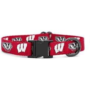 Wisconsin Badgers Collars and Leashes | Officially Licensed | Fits All Pets! (6 Foot Leash)