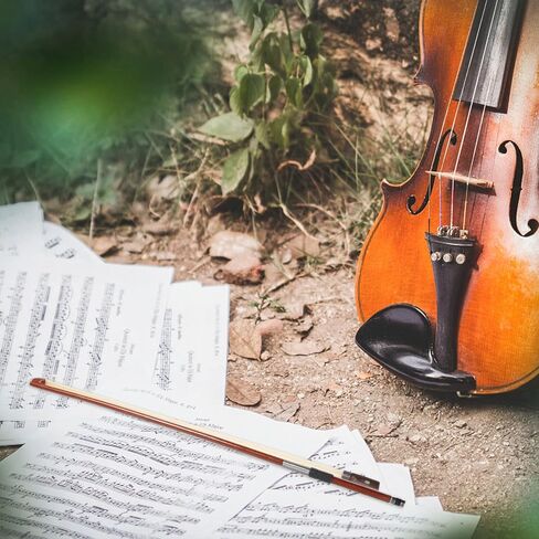 VICASKY قوس الكمان المذهل - 4/4 من ألياف الكربون استبدال خشب الكمان للكمان والخشب وقوس الكمان من ألياف الكربون لأدوات الطلاب in Kuwait