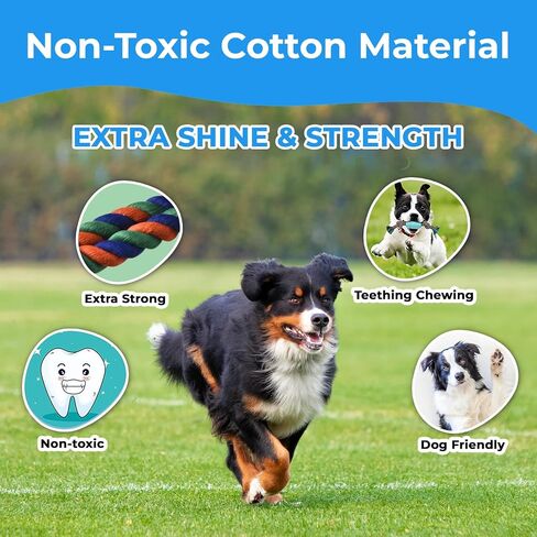 Stride Dog Rope Toys, Set of 13 Interactive Dog Toys, Durable Cotton & Rubbber Dog Chew Toys for Aggressive Chewers, Long-Lasting Dog Toys to Keep Them Busy, Ideal Dog Toys for Medium & Large Breeds in Saudi Arabia