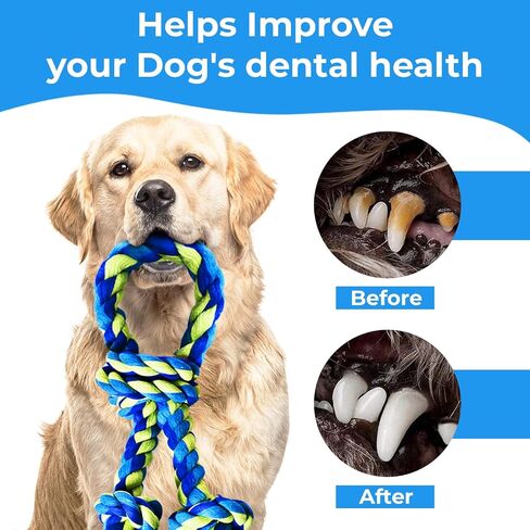 Stride Dog Rope Toys, Set of 13 Interactive Dog Toys, Durable Cotton & Rubbber Dog Chew Toys for Aggressive Chewers, Long-Lasting Dog Toys to Keep Them Busy, Ideal Dog Toys for Medium & Large Breeds in Saudi Arabia