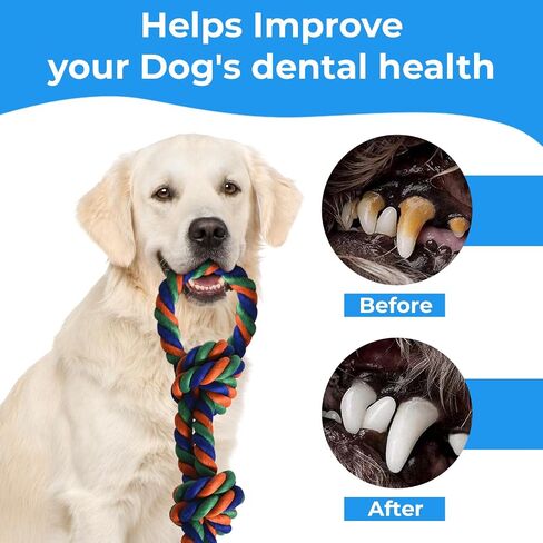 Stride Dog Rope Toys, Set of 13 Interactive Dog Toys, Durable Cotton & Rubbber Dog Chew Toys for Aggressive Chewers, Long-Lasting Dog Toys to Keep Them Busy, Ideal Dog Toys for Medium & Large Breeds in Saudi Arabia