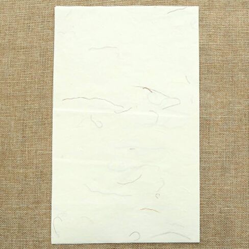 STOBOK 40pcs Chinese Calligraphy Paper Natural Plant Flower Brush Rice Paper Craft Hand Made Art Tissue Xuan Paper Letter Writing Paper |28x17x0.01cm in Saudi Arabia