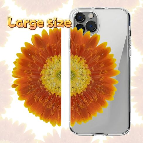 4 قطع كبيرة الحجم من الزهور المجففة المضغوطة والزهور الطبيعية المجففة لقالب الراتنج، DIY، لوازم سجل القصاصات، والحرف الفنية (جيربيرا) in Kuwait