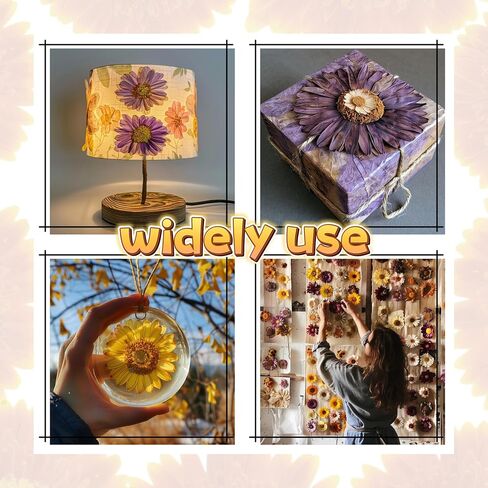 4 قطع كبيرة الحجم من الزهور المجففة المضغوطة والزهور الطبيعية المجففة لقالب الراتنج، DIY، لوازم سجل القصاصات، والحرف الفنية (جيربيرا) in Kuwait