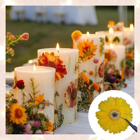 4 قطع كبيرة الحجم من الزهور المجففة المضغوطة والزهور الطبيعية المجففة لقالب الراتنج، DIY، لوازم سجل القصاصات، والحرف الفنية (جيربيرا) in Kuwait