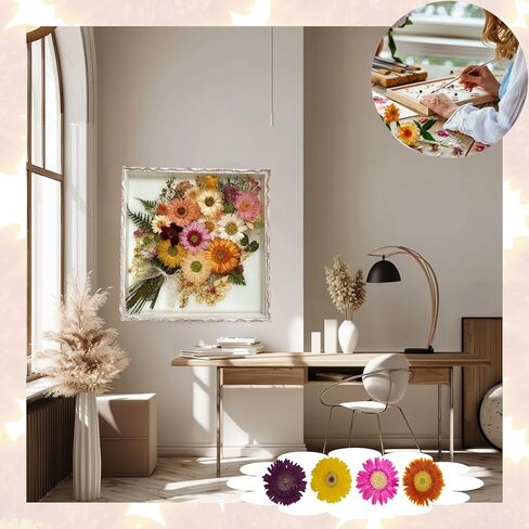 4 قطع كبيرة الحجم من الزهور المجففة المضغوطة والزهور الطبيعية المجففة لقالب الراتنج، DIY، لوازم سجل القصاصات، والحرف الفنية (جيربيرا) in Kuwait