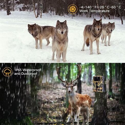 كاميرا HC-808A Trail 1080P/24MP مع رؤية ليلية، زاوية واسعة 120 درجة، مقاومة للماء تعمل بالحركة، كاميرا صيد لمراقبة الحياة البرية in Saudi Arabia