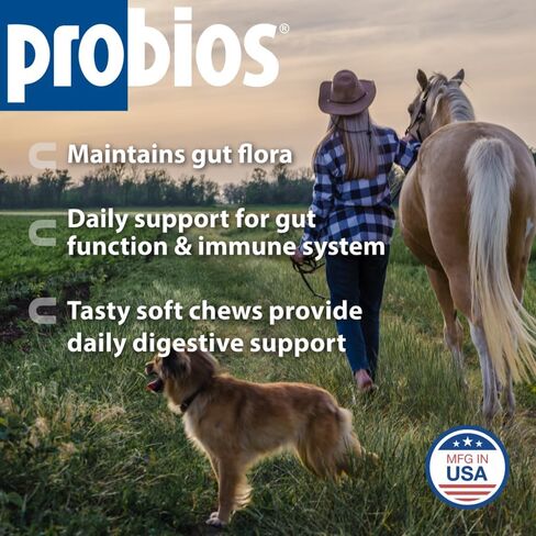Probios Horse Soft Chews, Apple flavor, Net Weight 1.32 lbs(600 grams) in Saudi Arabia