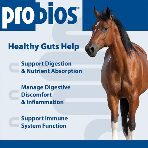 Probios Horse Soft Chews, Apple flavor, Net Weight 1.32 lbs(600 grams) in Saudi Arabia