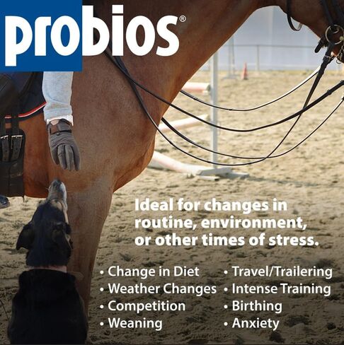 Probios Horse Soft Chews, Apple flavor, Net Weight 1.32 lbs(600 grams) in Saudi Arabia