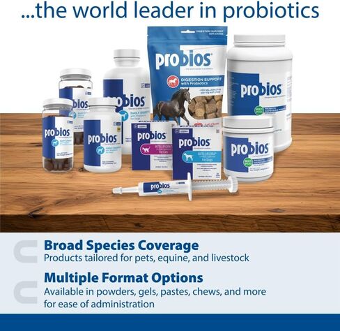 Probios Horse Soft Chews, Apple flavor, Net Weight 1.32 lbs(600 grams) in Saudi Arabia