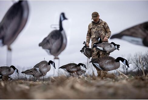 Higdon Outdoors Flats Magnum Canada صورة ظلية قياسية، 12 قطعة in Kuwait