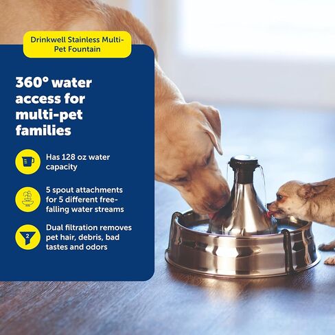 PetSafe Stainless 360 Pet Fountain - 1 Gallon (128 oz) Dog and Cat Water Fountain - Water Filters Remove Hair - Water Dispenser Entices Pets to Drink - Customizable Cat and Dog Water Bowl Dispenser in Saudi Arabia