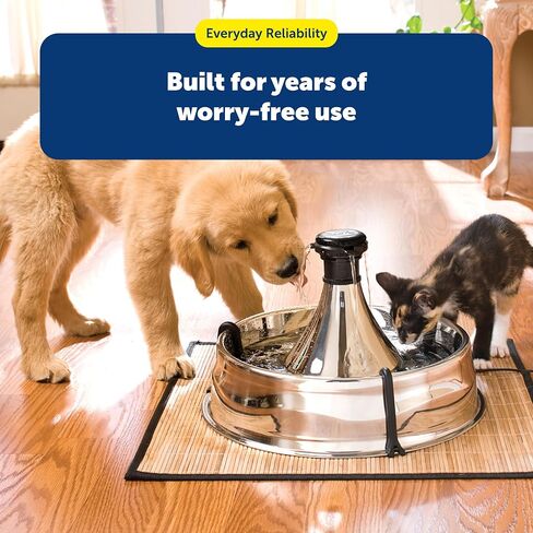 PetSafe Stainless 360 Pet Fountain - 1 Gallon (128 oz) Dog and Cat Water Fountain - Water Filters Remove Hair - Water Dispenser Entices Pets to Drink - Customizable Cat and Dog Water Bowl Dispenser in Saudi Arabia