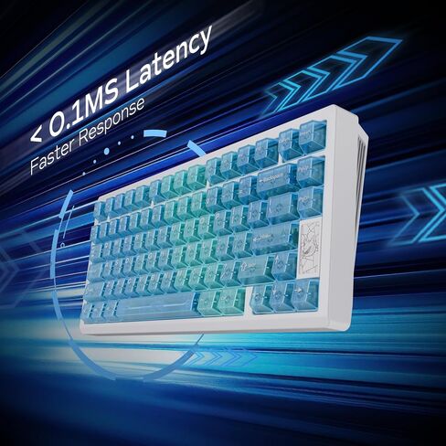 Chilkey Slice75 HE Gaming Keyboard: 75% Percent Hall Effect Magnetic Aluminum Keyboard with WS Flux HE Clacky Switch, Rapid Trigger, 8K Polling, Per-Key RGB Custom Key Board for Game Office (Black) in Saudi Arabia