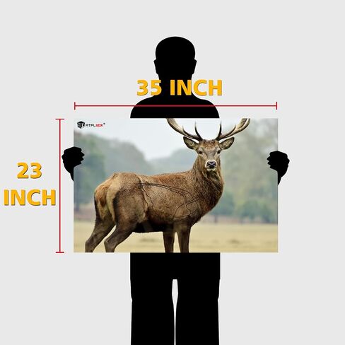 Atflbox 23" x 35" Highly Visible Non-Reactive Animal Shooting Paper Target, Big Game Realistic Deer Heavy-Duty Paper Targets for Use with All Guns & Calibers - Folded in Saudi Arabia
