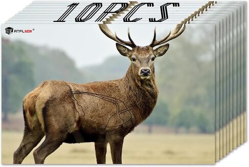 Atflbox 23" x 35" Highly Visible Non-Reactive Animal Shooting Paper Target, Big Game Realistic Deer Heavy-Duty Paper Targets for Use with All Guns & Calibers - Folded in Saudi Arabia