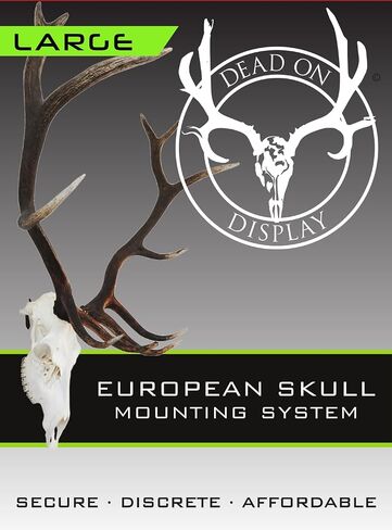 European Skull Hanger, Big Game Hanger, Wall Mount for Moose Wall Mount, Buffalo, Elk, Deer, African Game, Taxidermy Animal Trophy Mounting Kit (Large Skull Hanger) in Saudi Arabia