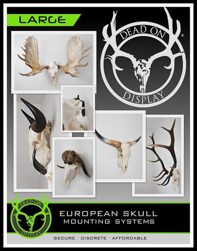 European Skull Hanger, Big Game Hanger, Wall Mount for Moose Wall Mount, Buffalo, Elk, Deer, African Game, Taxidermy Animal Trophy Mounting Kit (Large Skull Hanger) in Saudi Arabia