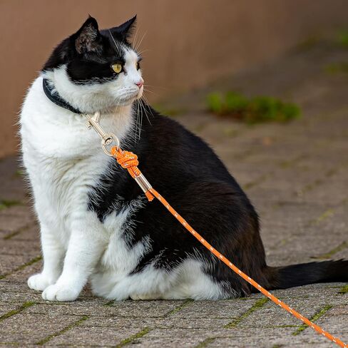 Cat Leash - 15 ft / 30 ft Reflective Long Cat Leash Outdoor for Walking Training Playing - Escape Proof Yard Lead Pet Leash Also for Cats, Small Dogs, Puppy, Kitten, Rabbit in Saudi Arabia