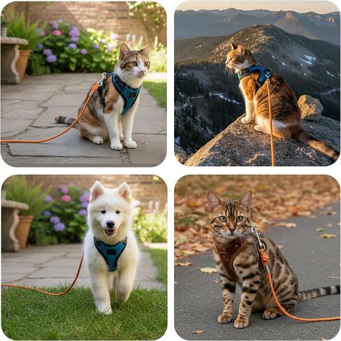 Cat Leash - 15 ft / 30 ft Reflective Long Cat Leash Outdoor for Walking Training Playing - Escape Proof Yard Lead Pet Leash Also for Cats, Small Dogs, Puppy, Kitten, Rabbit in Saudi Arabia