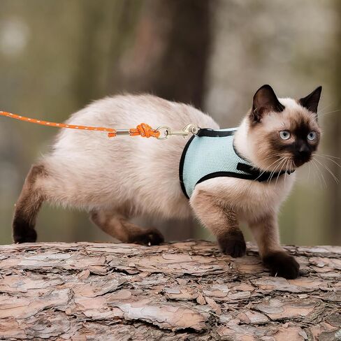 Cat Leash - 15 ft / 30 ft Reflective Long Cat Leash Outdoor for Walking Training Playing - Escape Proof Yard Lead Pet Leash Also for Cats, Small Dogs, Puppy, Kitten, Rabbit in Saudi Arabia