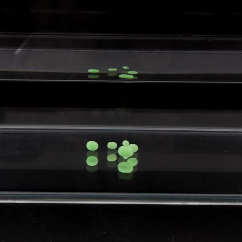 100pcs Soft Silicone Luminous Glow Fishing Beads, Round Green Beads Fishing Lures Tackle Tools for Freshwater Saltwater in Saudi Arabia