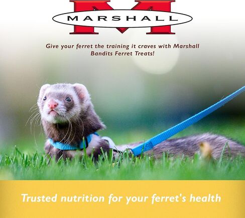 Bandits Premium Ferret Treat in Saudi Arabia