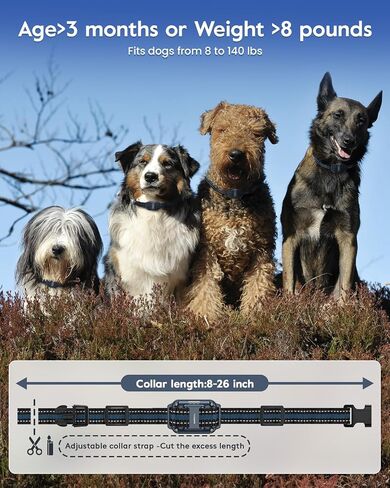 Dog Training Collar with 7 Training Modes, 2600Ft Remote Electronic Dog Shock Collar, Electric Shock Collar for Small Medium Large Dogs (Green) in Kuwait
