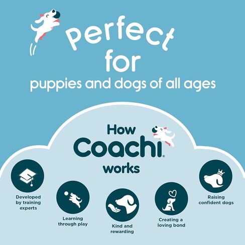 The Company of Animals Coachi Multi-Clicker, Dog Accessory, Volume Control with 3 Settings, Easy to Click, Adjustable Wrist Strap, Dog Clicker, for Dog Training, Including Sensitive Dogs and Puppies in Saudi Arabia