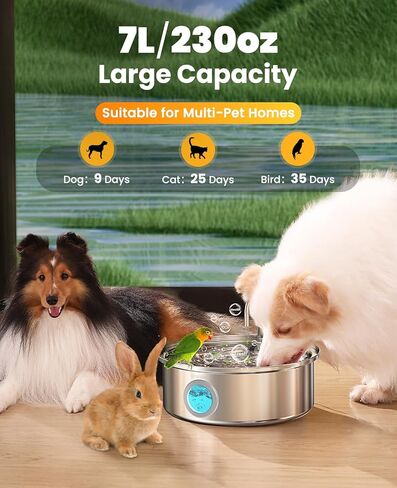 مضخة مياه مطورة من oneisall لنافورة مياه الكلاب المصنوعة من الفولاذ المقاوم للصدأ للكلاب الكبيرة in Kuwait