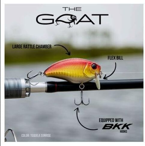 شركة Southern Salt Bait Co. The Goat Wake Bait، طُعم مرفقي للغوص الضحل، 5 ألوان (أحمر/أخضر/أزرق/أسود/أبيض)، 0.5 أونصة، خطافات BKK ممتازة in Saudi Arabia