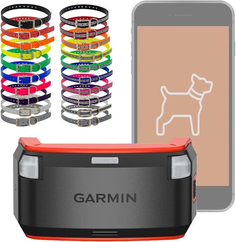 حزمة تعقب الكلاب Garmin Alpha LTE، تقنية خلوية، دمج الهاتف الذكي، تعمل كحزمة مستقلة، حزمة تعقب الكلاب LTE مع اختيار لون حزام الياقة 3/4 بوصة (برتقالي عاكس) in Kuwait