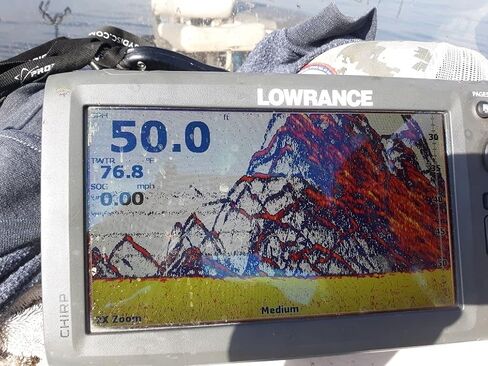 ضارب سمكة الصيد مع قابس من Thump'em Up (مضرب مع قابس 12 فولت) in Kuwait