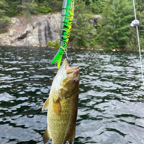 8 Segments Lifelike Swimbait for Bass Trout Crappie,Slow Sinking Bass Fishing Lure,Must-Have for Family Fishing Gear in Saudi Arabia