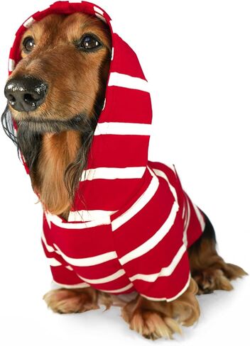 DJANGO Dog Hoodie - Soft, Stretchy, & Cozy Sweatshirts for Dogs - Black Winter Dog Sweaters for Dachshunds and Small Dogs - Machine Washable Hoodie for Dogs with Elastic Waistband and Harness Hole in Kuwait